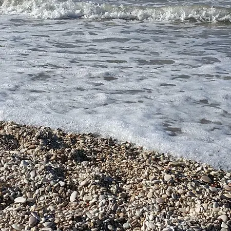 App. Le Conchiglie Marzocca di Senigallia